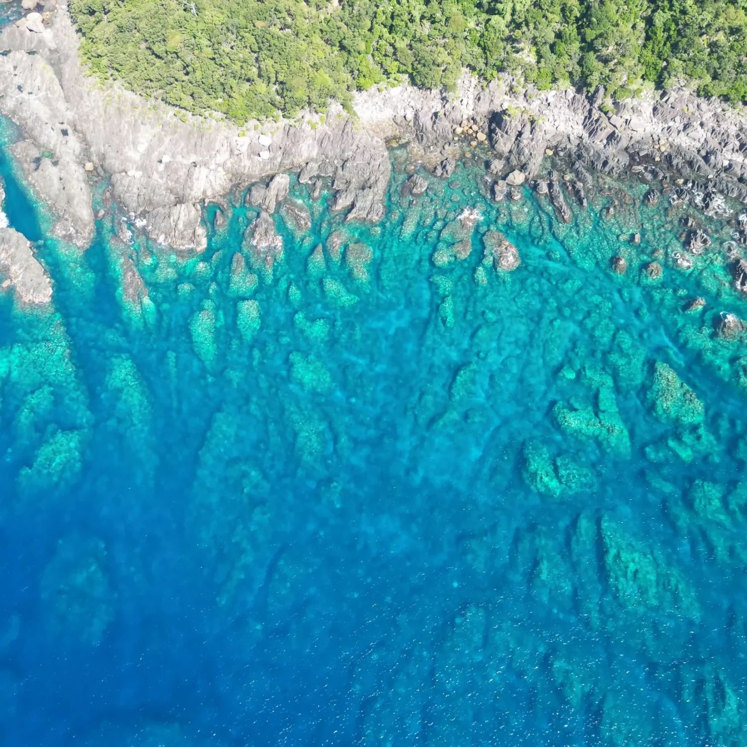 natural-coast-line-4